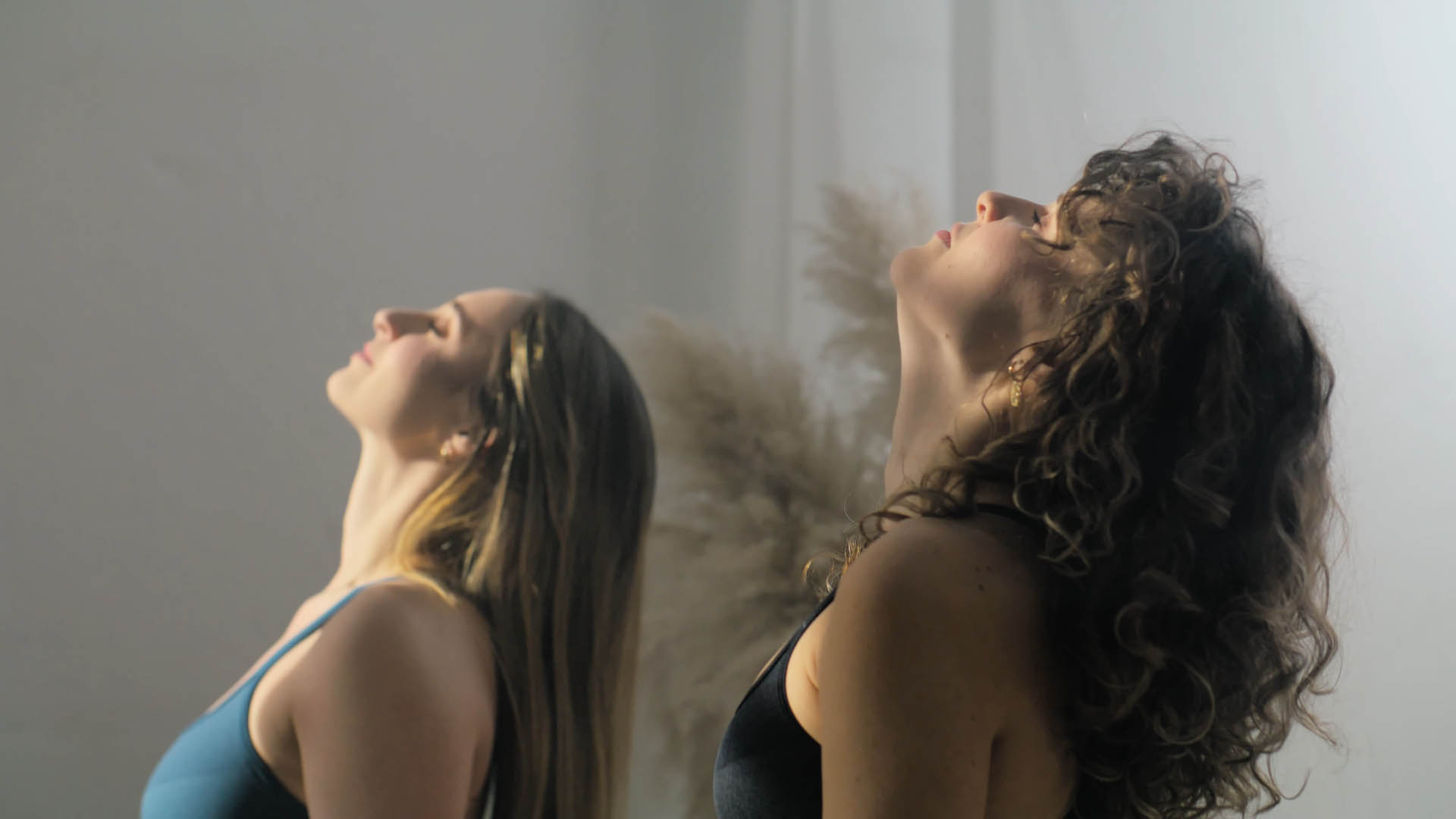 Gatta Active — Joga Collection