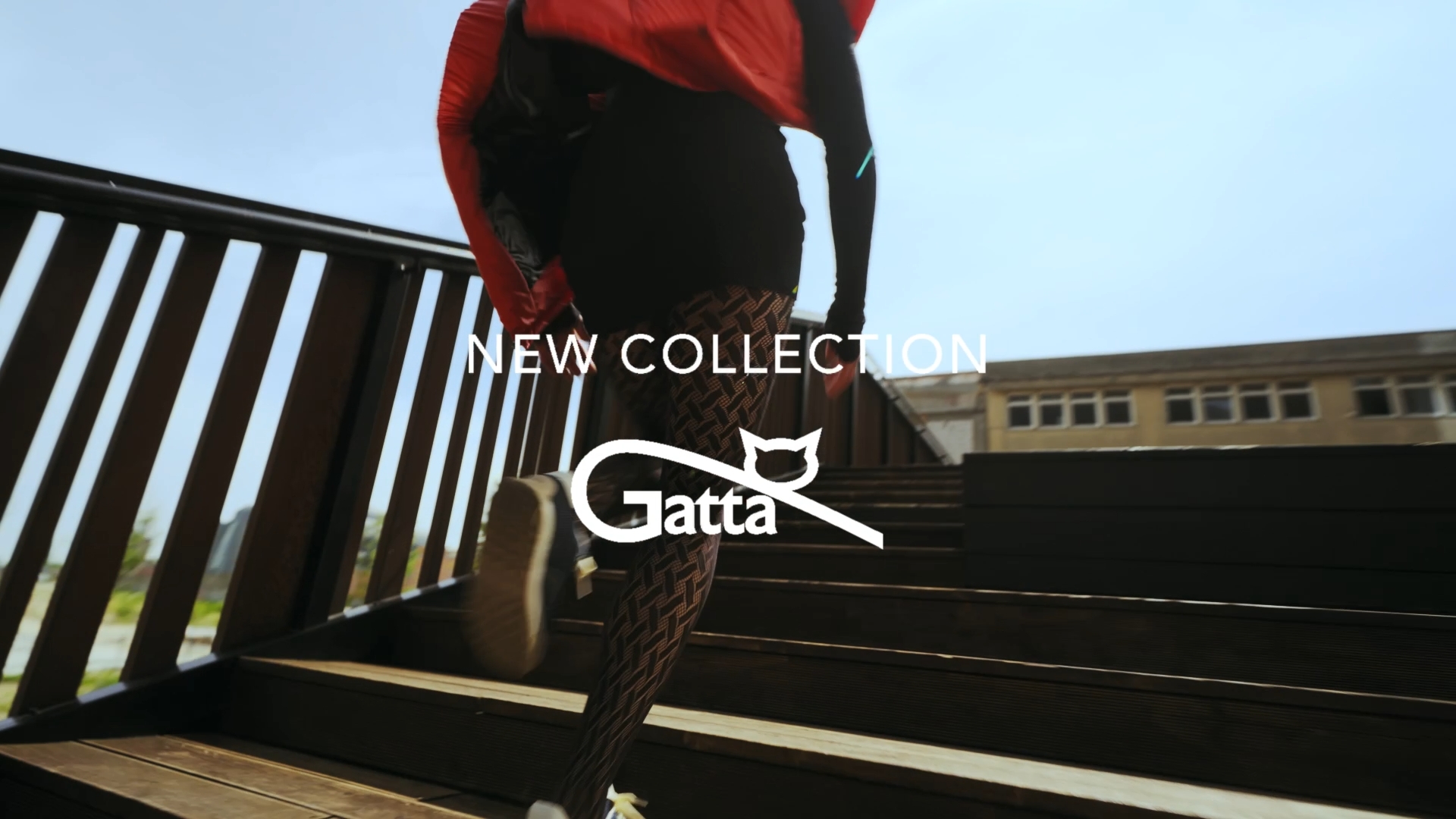 Gatta — tights collection autumn/winter 2023 #1